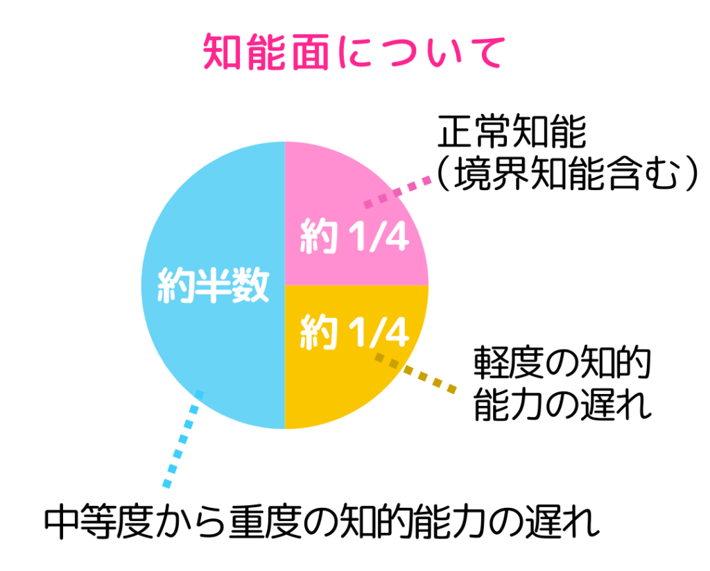 「知能面について」約1/4:正常知能(境界知能含む)/約1/4:軽度の知的能力の遅れ/約半数:中等度から重度の知的能力の遅れのグラフ